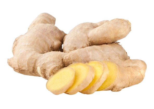 Jengibre Fresco